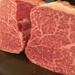 SATOブリアン - 2016/2_ヒレ