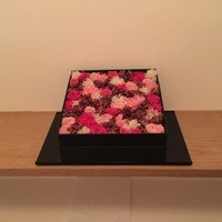 まき村 - 