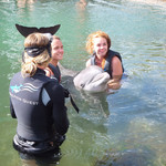 The Kahala Hotel & Resorts - 人気のドルフィンクエスト。池には5体ほどのイルカが飼育されている。見ているだけでも癒される。