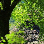 忘れの里 雅叙苑 - 