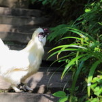 忘れの里 雅叙苑 - 