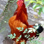 忘れの里 雅叙苑 - 