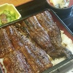 炭火焼うなぎ 東山物産 - うなぎ丼　上重　うなぎ4切れ