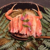 小熊 - 