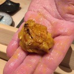 すし匠 まさ - H28.2 紫雲丹