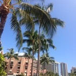 Rum Fire - お隣はロイヤルハワイアン