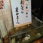 Sankai Koryouri Musashino - すっぽんの展示