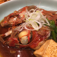 魚竹 - 
