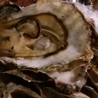 ル ベナトン - 私のお皿にはこんなに牡蠣が積み上がった