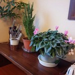 そば処 ひろ - 28年2月26日撮影