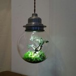 wad omotenashi cafe - 