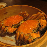 中国飯店 紫玉蘭 - 