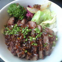 和食鉄板 銀座 朔月 - 