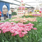 Keukenhof Restaurants - 園内のカフェスペースとチューリップ