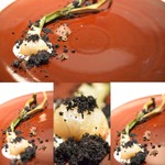 レストランディファランス - 【玉葱】竹墨の「黒」と玉ねぎの「白」のコントラストが素敵