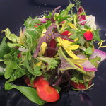 プレゼンテ スギ - (2016年2月)Sugi畑の野菜を使った採れたてサラダ