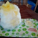 雪みるく - 2016/2　ゆずはちみつ&土佐文旦