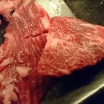 京松蘭 - カイノミ