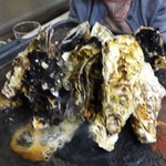 カキ小屋フィーバー - 牡蠣 ガンガン鉄板焼き。