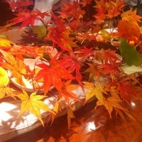 和やまむら - 