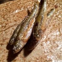 御料理 光安 - 