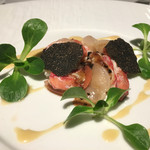 マノワール・ディノ - 