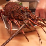 割烹 やました - 10.8.7お誕生日伊勢エビ