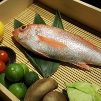 のどぐろ専門 銀座 中俣 - 