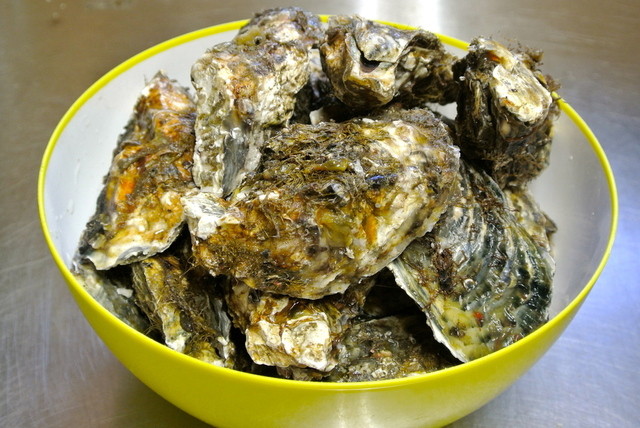 たからや食堂 - 松島海岸（郷土料理）の写真