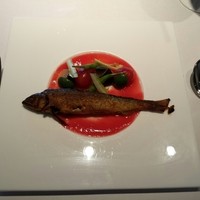 キメラ - 
