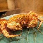 初音鮨 - 初訪2月