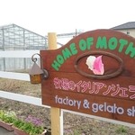 HOME OF MOTHERS - 