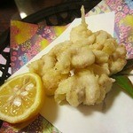 海石 - ２０１６年１月再訪問