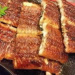 炭焼うな富士 - 特うな膳