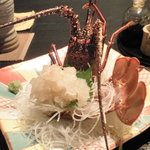 月の花 梟 - 伊勢海老刺身