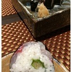 西海道 ときとき - 