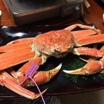 せきのや - グラマラス～