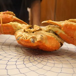 ズワイ蟹