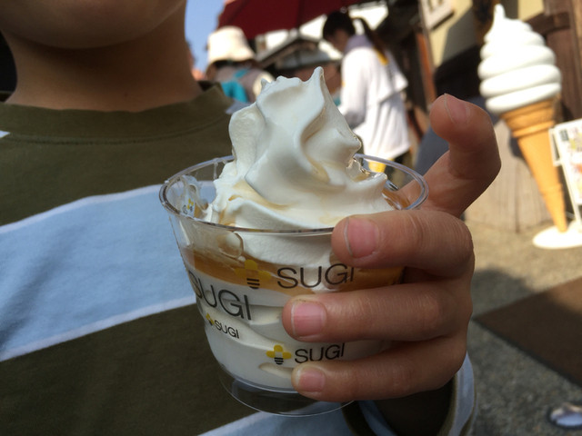 Sugi Yohoen Kyoto Sannneizaka Ten photo 2