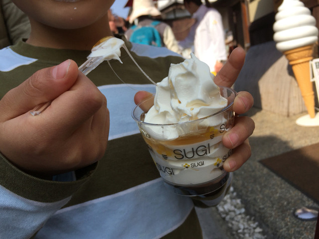 Sugi Yohoen Kyoto Sannneizaka Ten