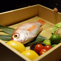 のどぐろ専門 銀座 中俣 - 有名魚となったのどぐろは最初にみせてくださいます。