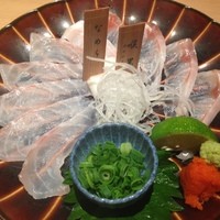 のど黒屋 新橋店 - 刺身、右側がのど黒