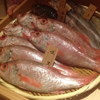 のど黒屋 新橋店 - のど黒、こんなに食べたわけじゃありませんが（笑）