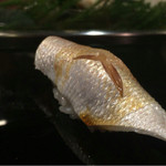 金寿司 - こはだ