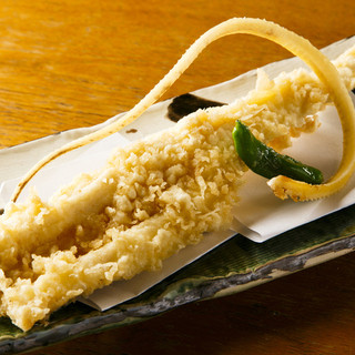 熟成魚場 福井県美浜町_2