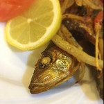 エパレット - がおー！