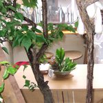 はぐら茶屋 - 店内奥から見たテーブルとカウンターです。