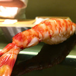 鮨 ます田 - 2016/2_車海老