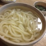 釜揚うどん 一心 - H.28.3.2.昼 釜揚うどん(特大・太麺) 850円税込