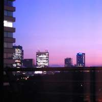 Wattle Tokyo - 
